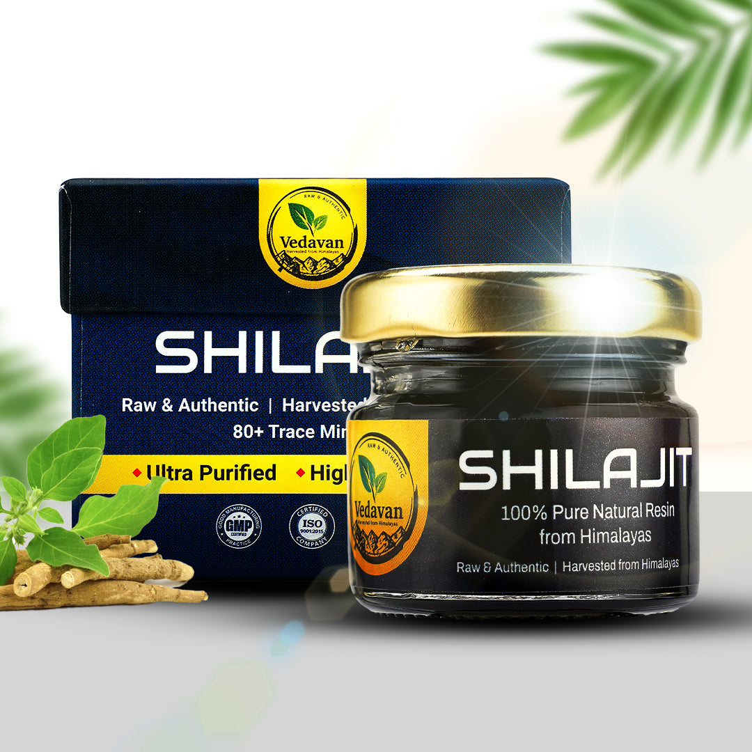 Vedavan Himalayan Shilajit/Shilajeet Resin
