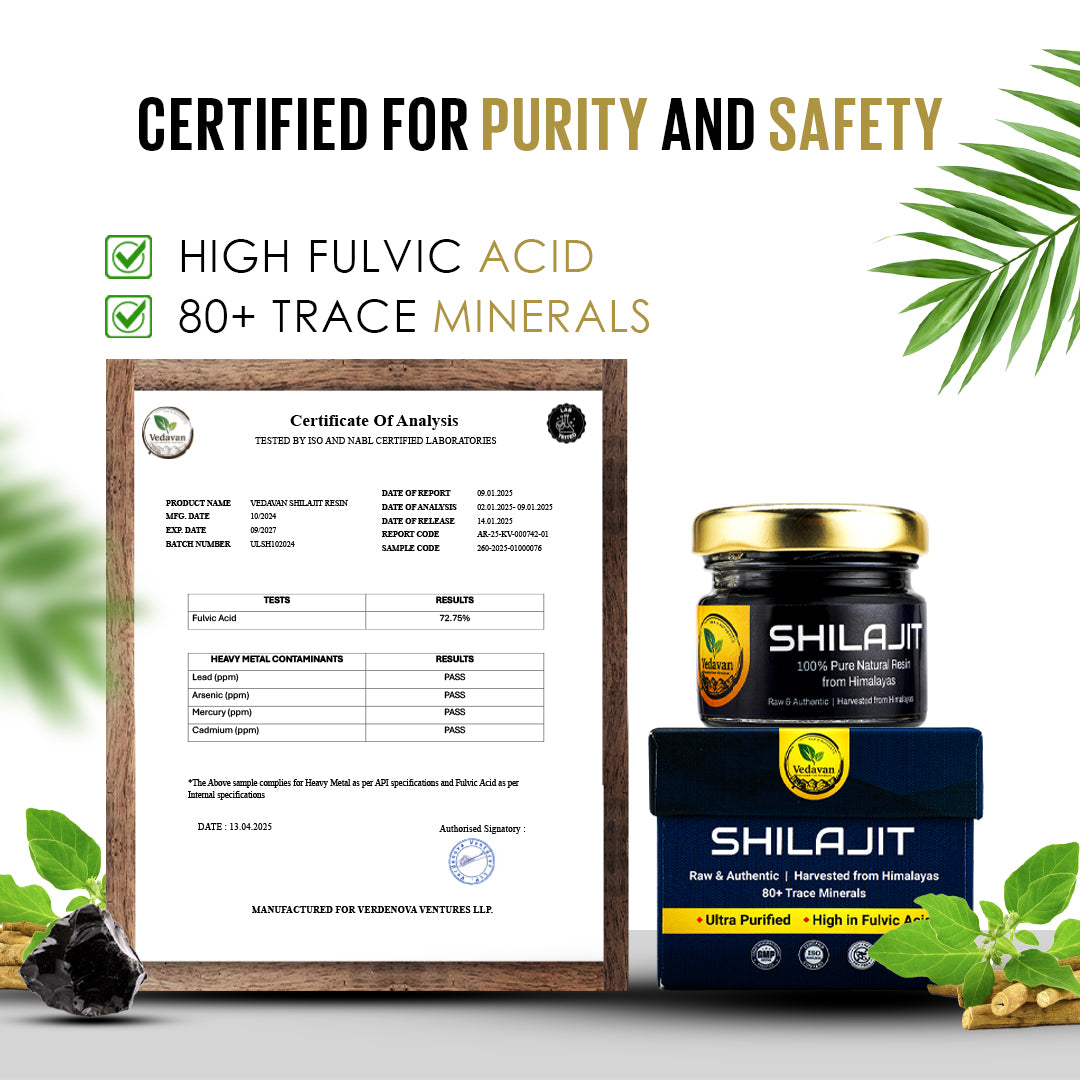 Vedavan Himalayan Shilajit/Shilajeet Resin