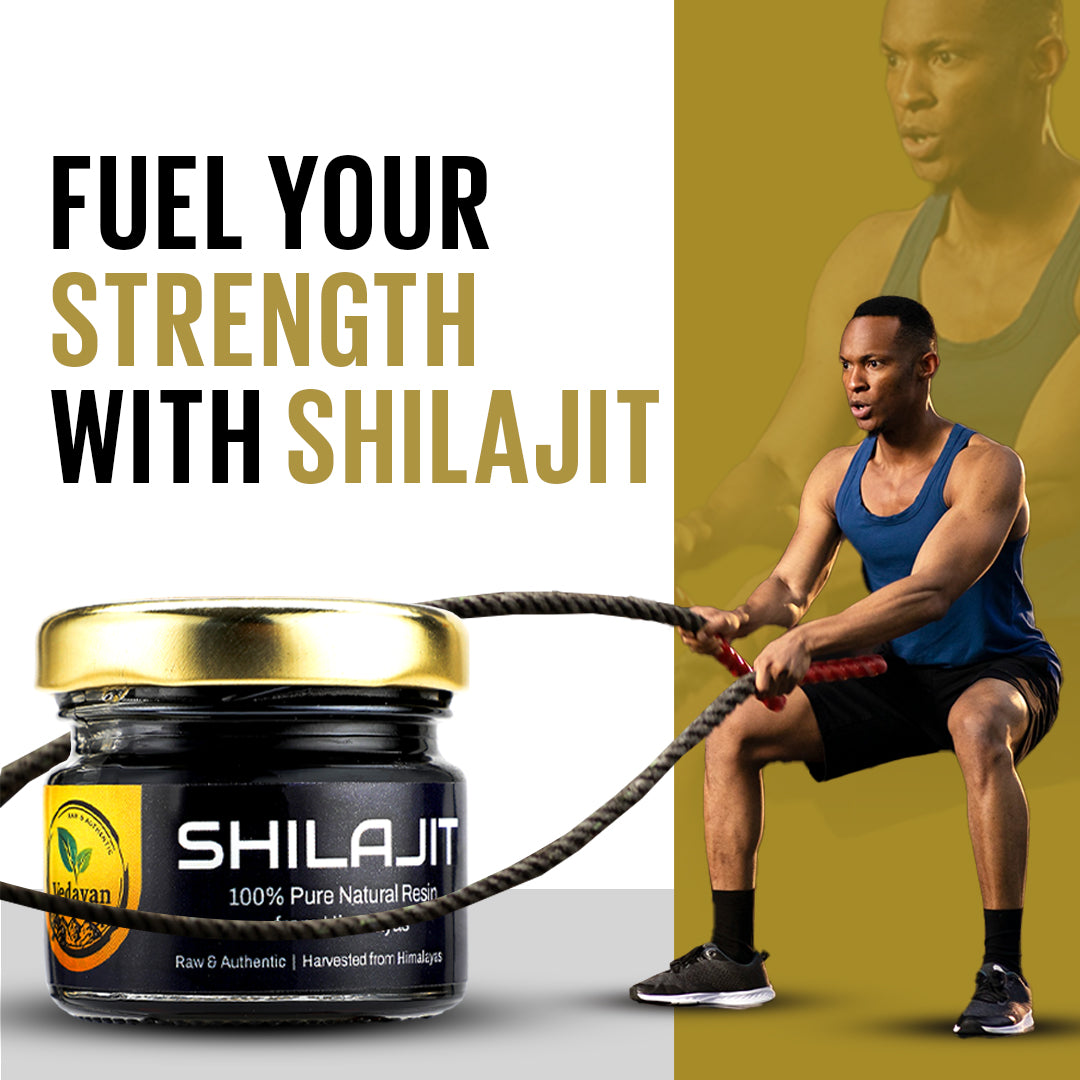 Vedavan Himalayan Shilajit/Shilajeet Resin
