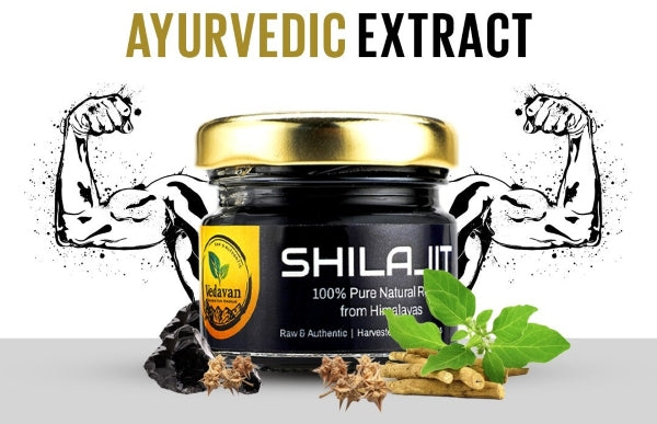 What Is Shilajit/Shilajeet and Why It's Essential in Today’s World