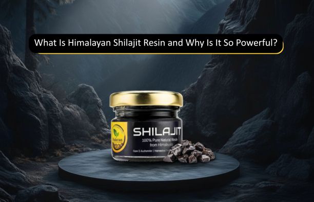 What Is Himalayan Shilajit Resin and Why Is It So Powerful?