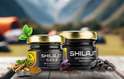 Real Himalayan Shilajit Resin Buying Guide: Essential Quality Checks Explained