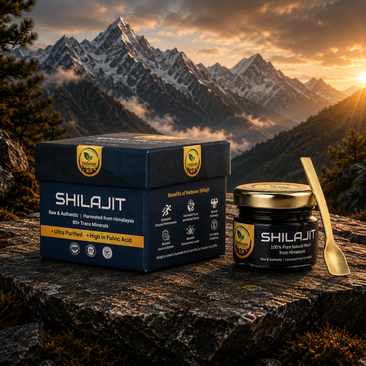 Vedavan Pure Himalayan Shilajit Resin - 100% Authentic Shilajeet 20gm