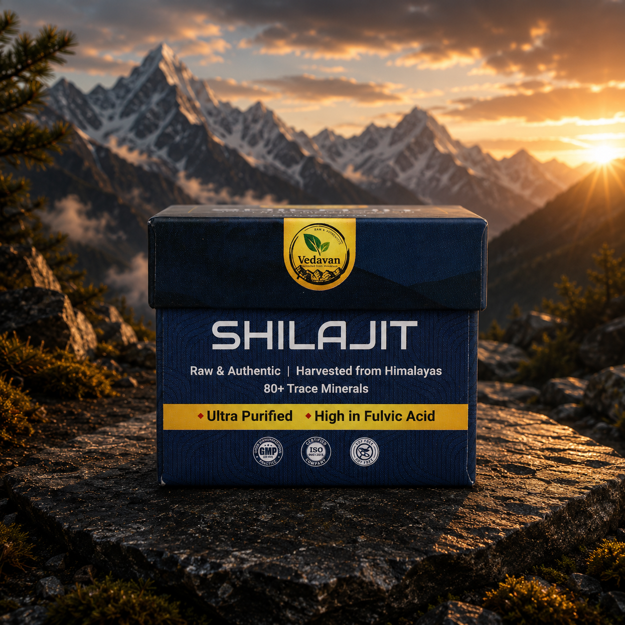Vedavan Pure Himalayan Shilajit Resin - 100% Authentic Shilajeet 20gm