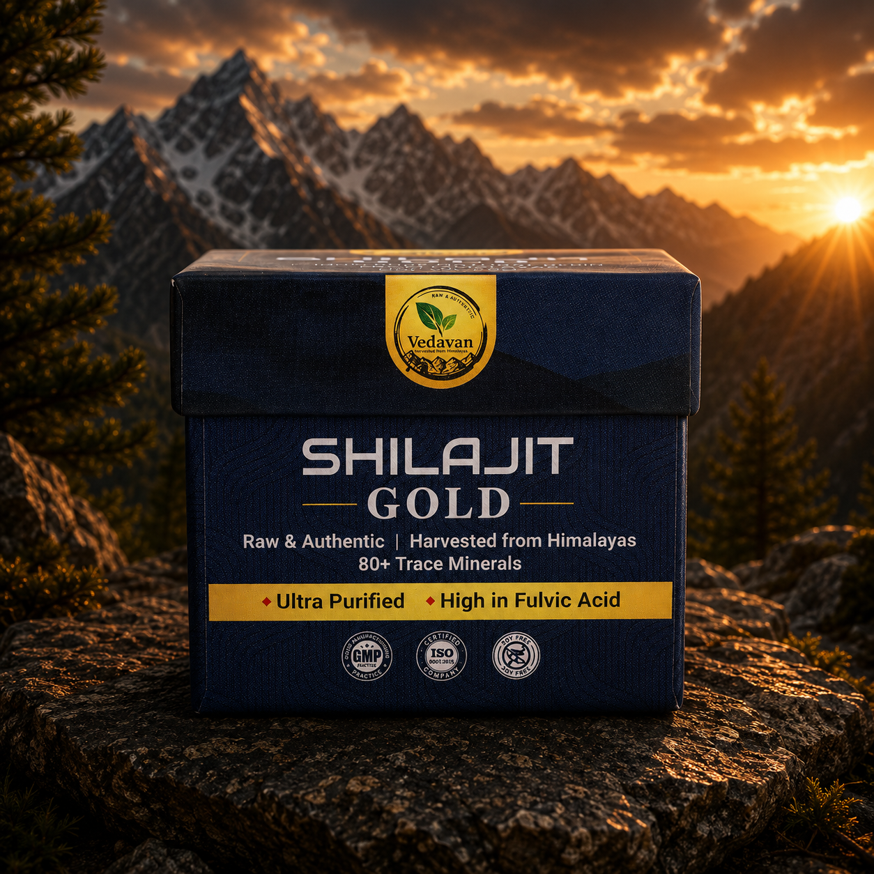 Vedavan Shilajit Gold Resin - Premium Strength & Stamina Formula 20gm