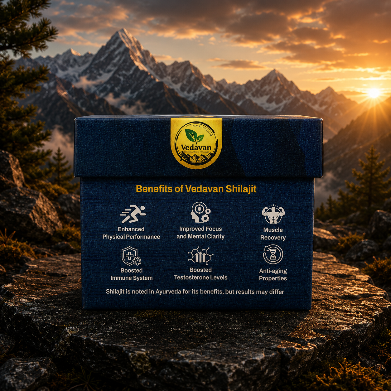 Vedavan Pure Himalayan Shilajit Resin - 100% Authentic Shilajeet 20gm