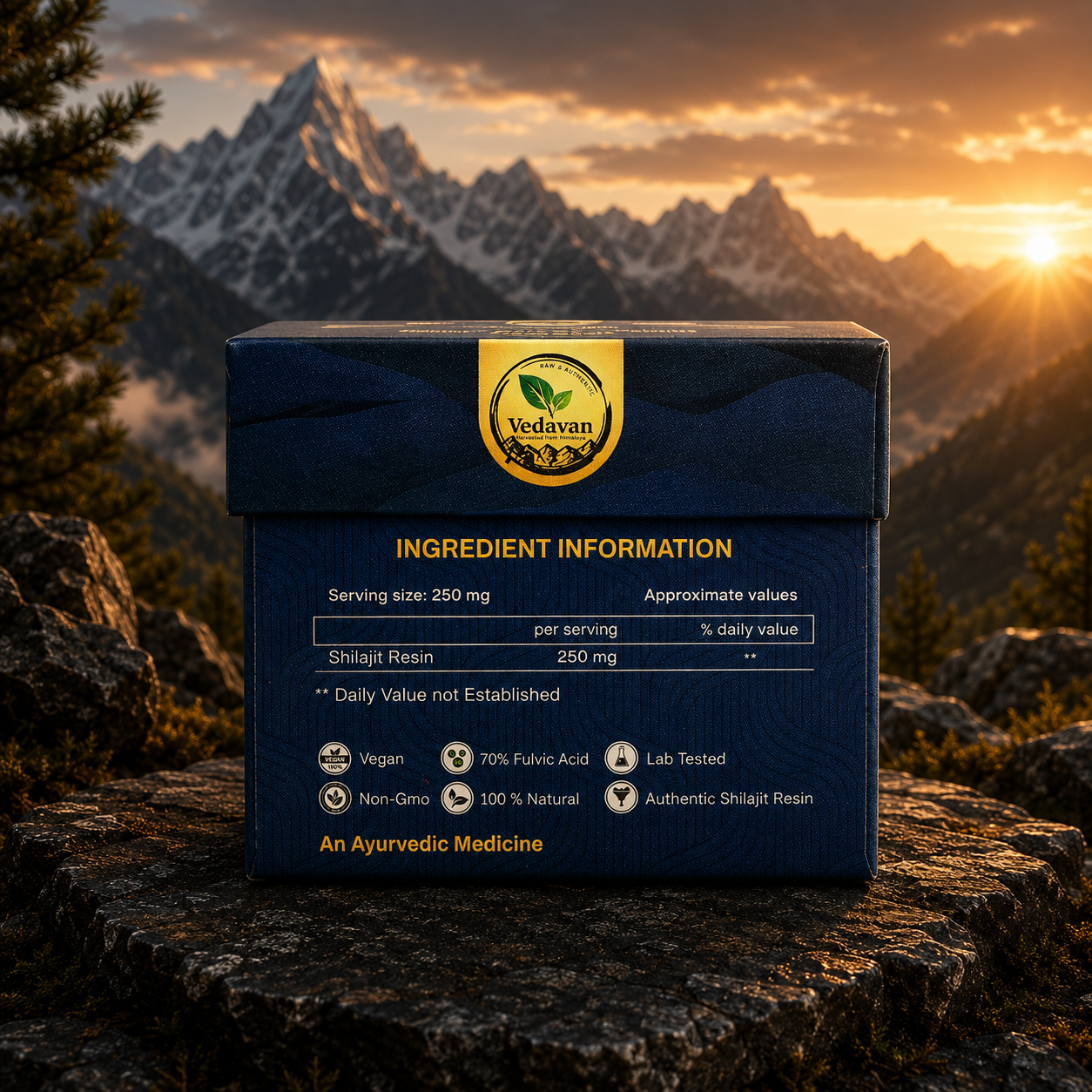 Vedavan Pure Himalayan Shilajit Resin - 100% Authentic Shilajeet 20gm