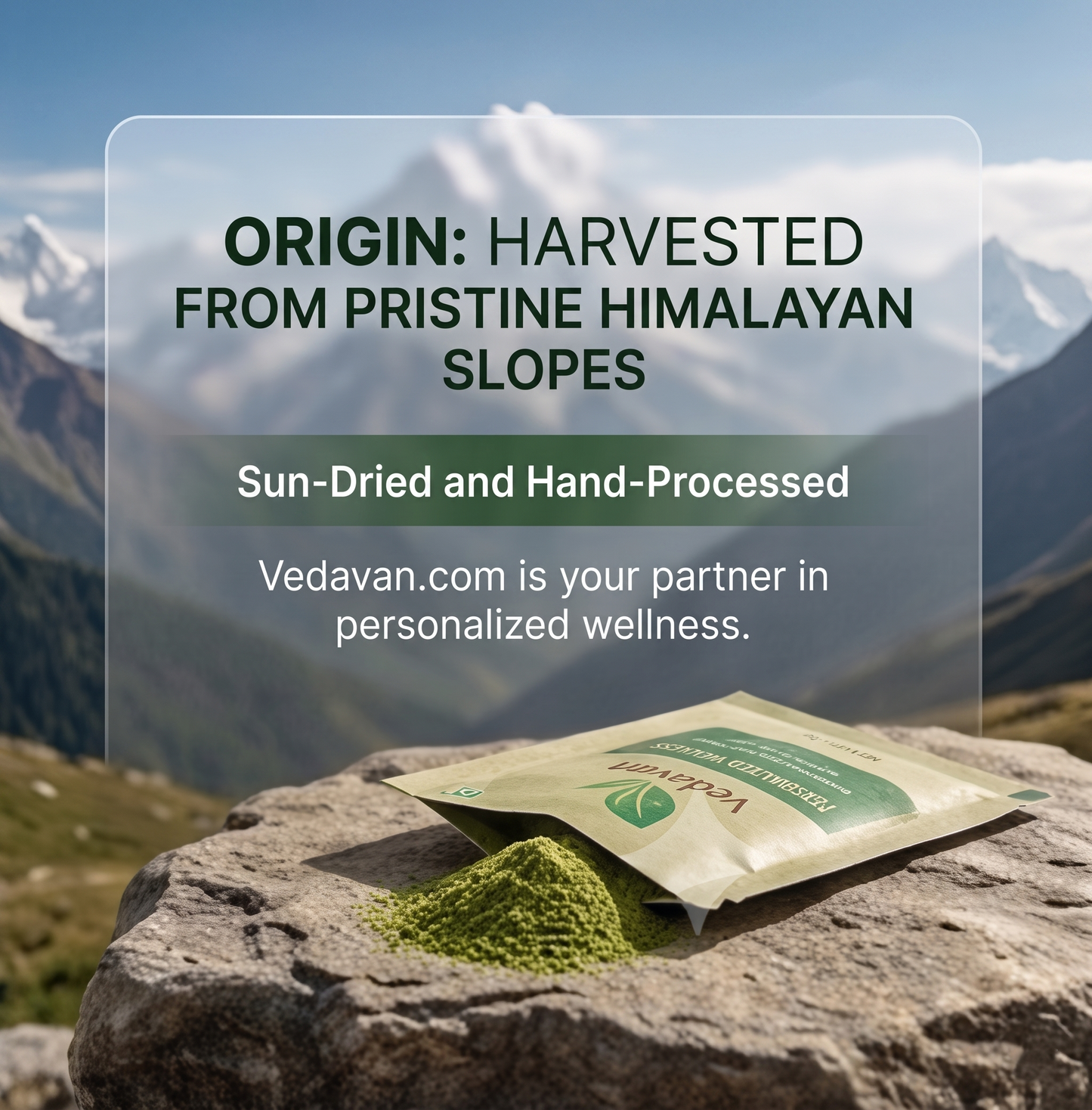 Vedavan Pure Himalayan Moringa Powder | 100% Natural Superfood Sachets