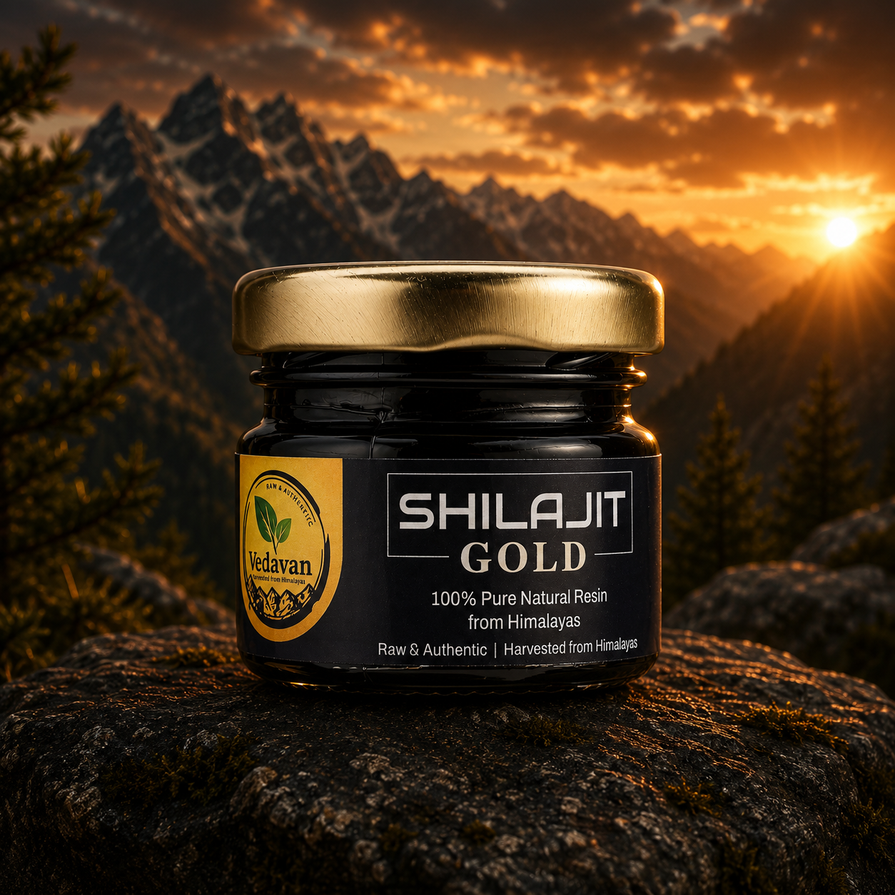 Vedavan Shilajit Gold Resin - Premium Strength & Stamina Formula 20gm