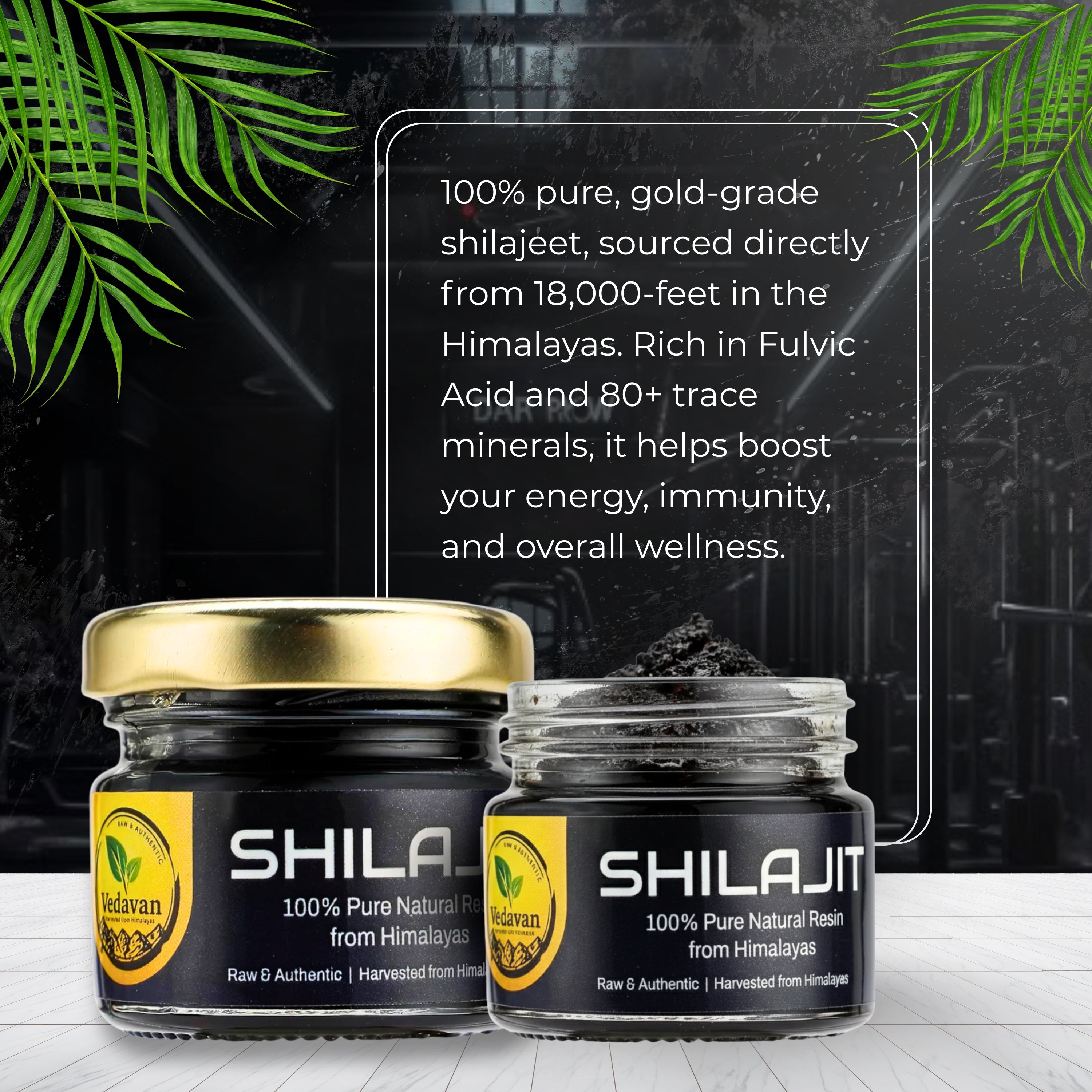 Vedavan Pure Himalayan Shilajit Resin Combo Pack for Energy, Stamina, and Daily Wellness (2 x 20g Packs)
