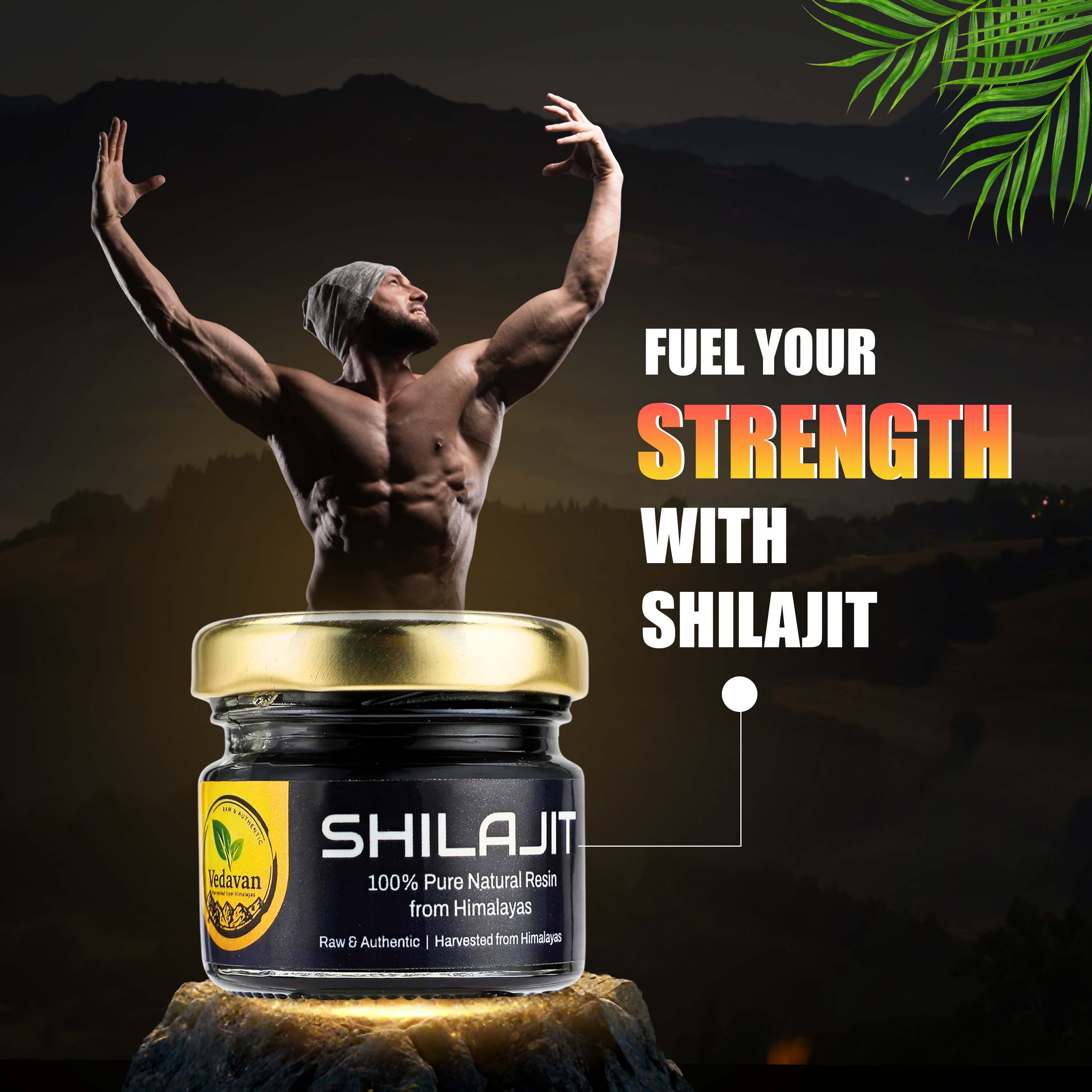 Vedavan Pure Himalayan Shilajit Resin Combo Pack for Energy, Stamina, and Daily Wellness (2 x 20g Packs)