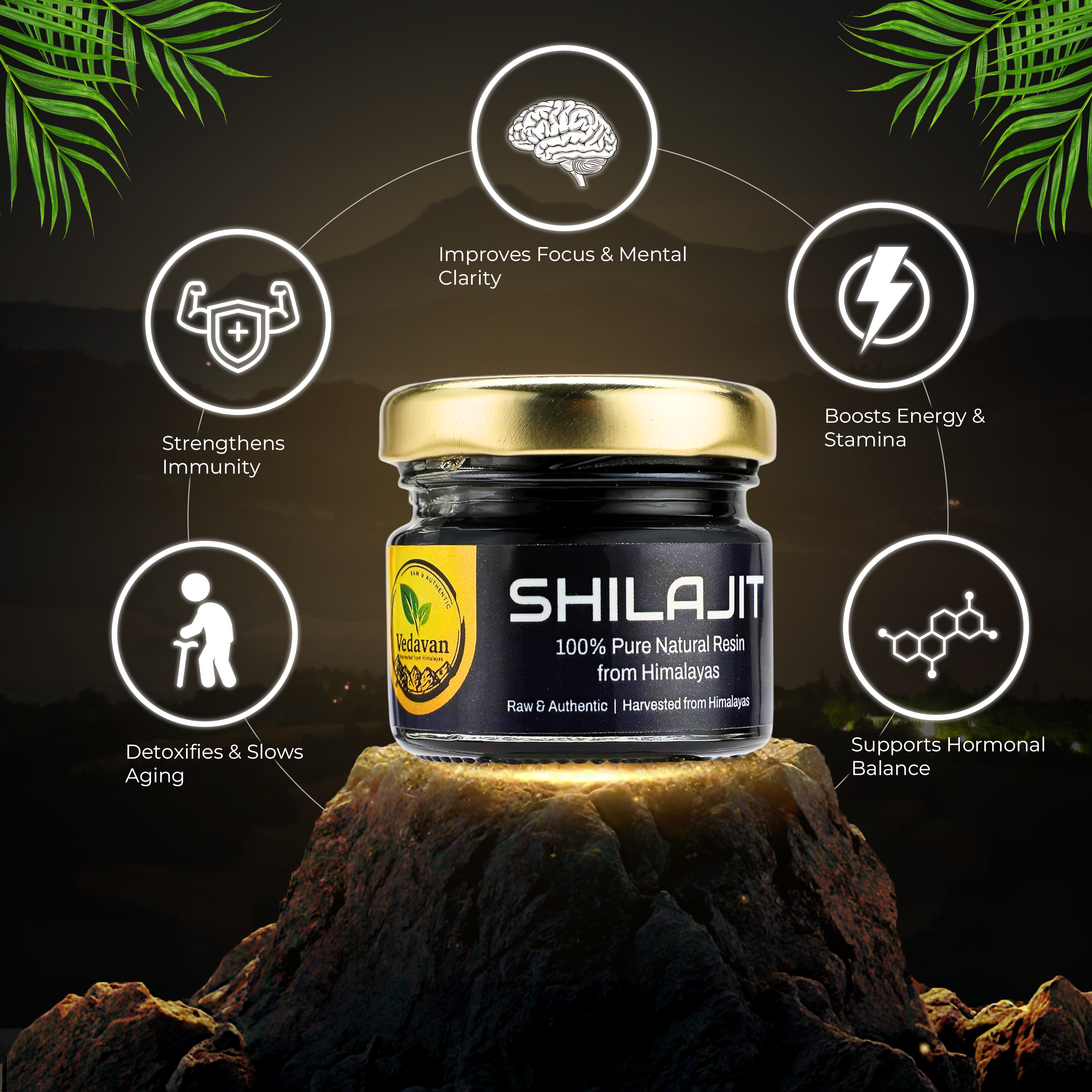 Vedavan Pure Himalayan Shilajit Resin Combo Pack for Energy, Stamina, and Daily Wellness (2 x 20g Packs)