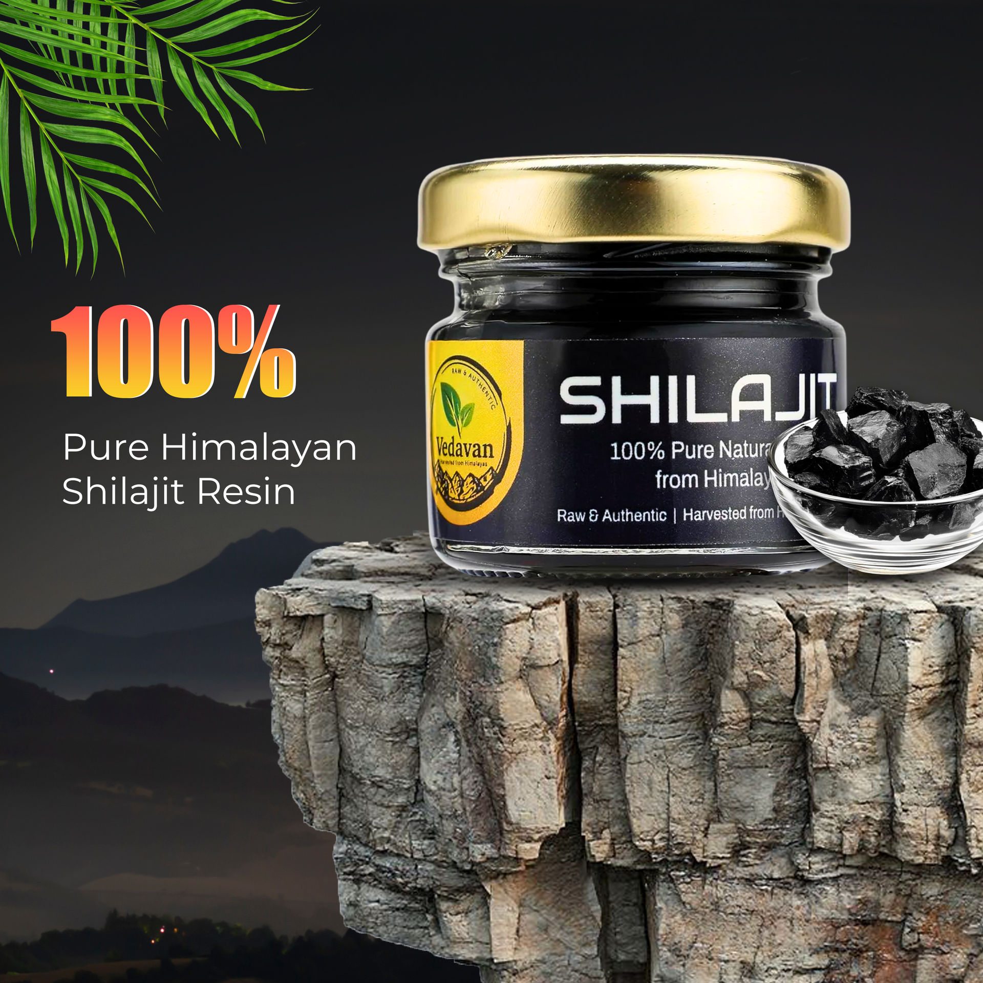 Vedavan Pure Himalayan Shilajit Resin Combo Pack for Energy, Stamina, and Daily Wellness (2 x 20g Packs)