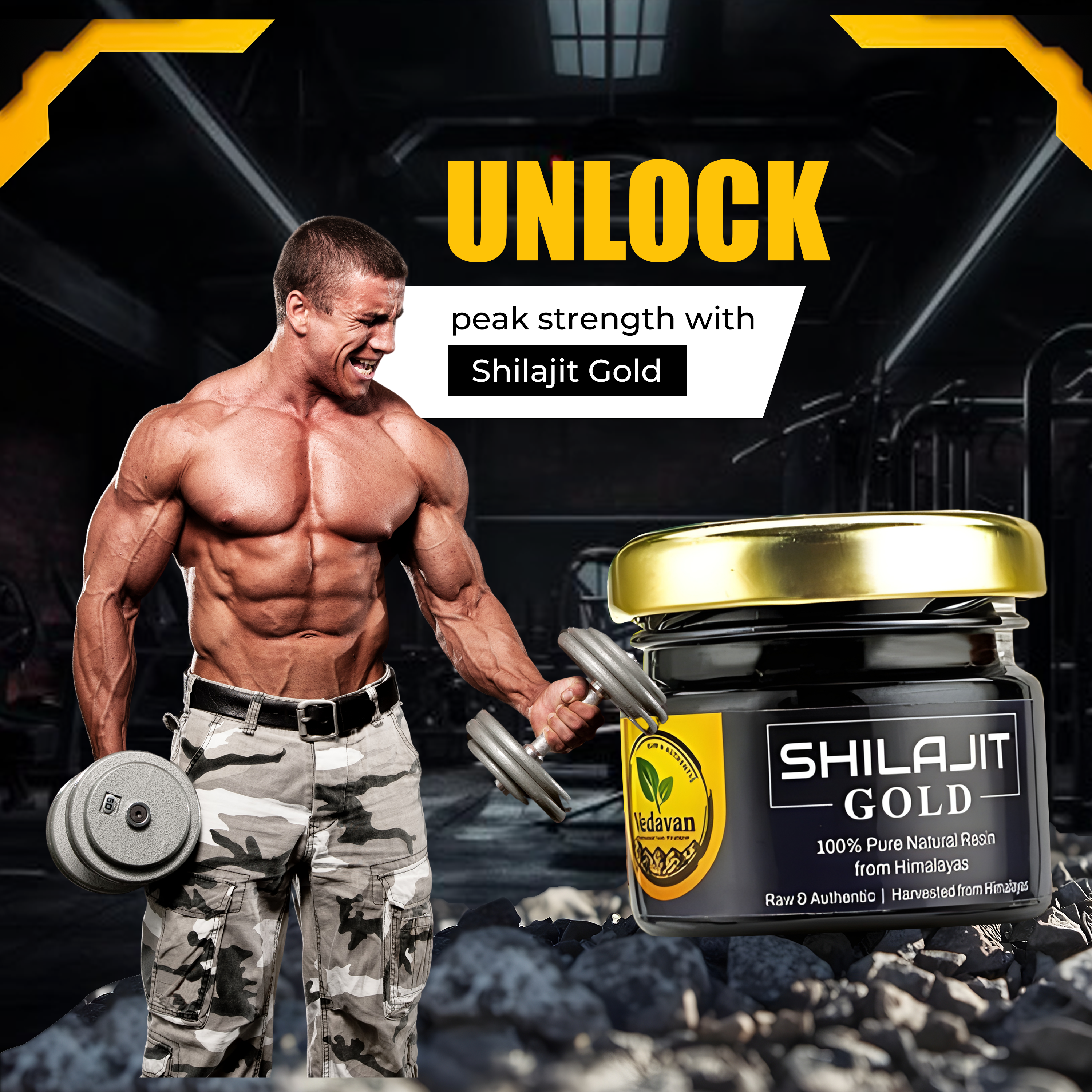 Vedavan Shilajit Gold Resin Combo Pack for Strength, Stamina, and Vitality (2 x 20g Packs)