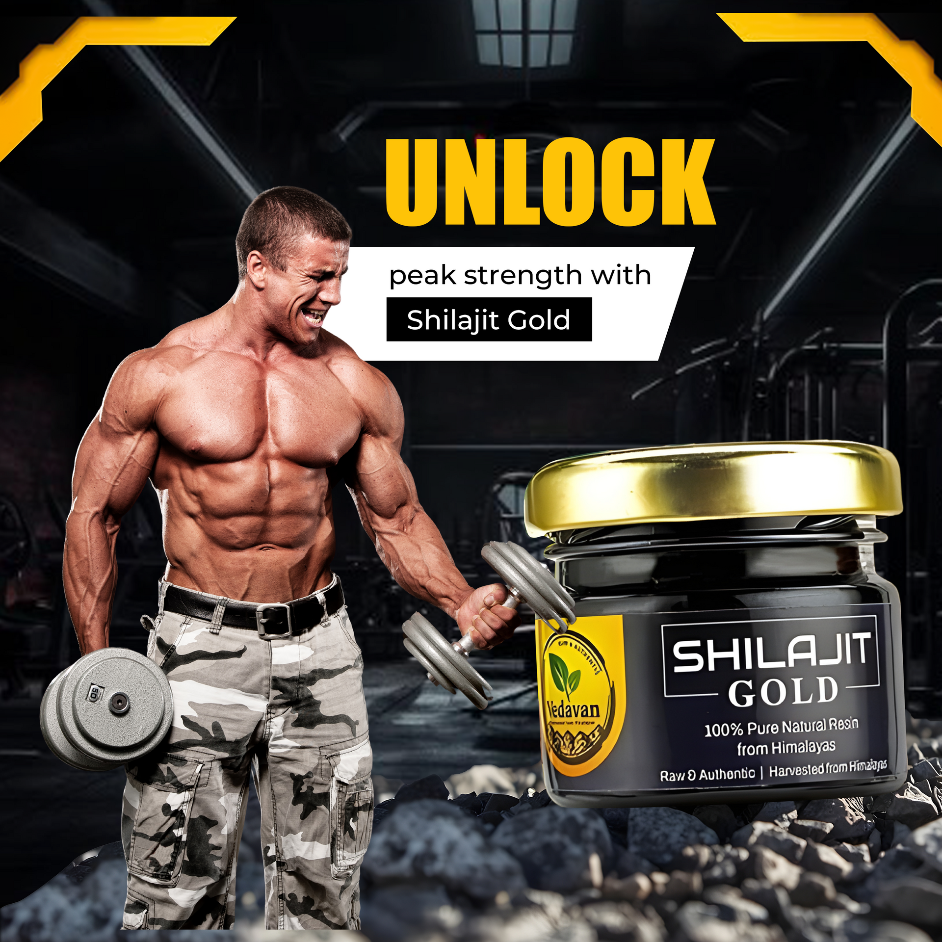 Vedavan Shilajit Gold Resin - Premium Strength & Stamina Formula 20gm