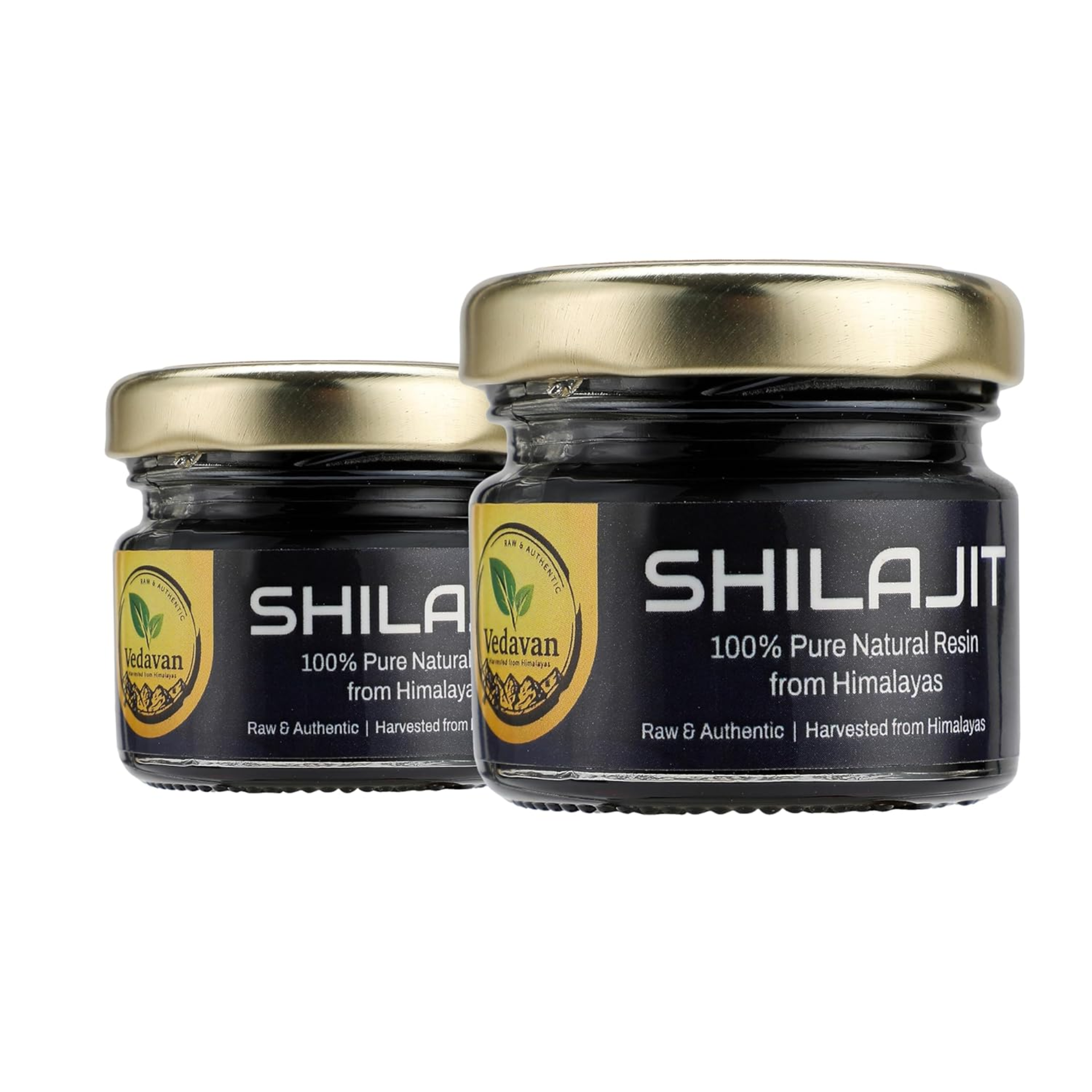 Vedavan Pure Himalayan Shilajit Resin Combo Pack for Energy, Stamina, and Daily Wellness (2 x 20g Packs)